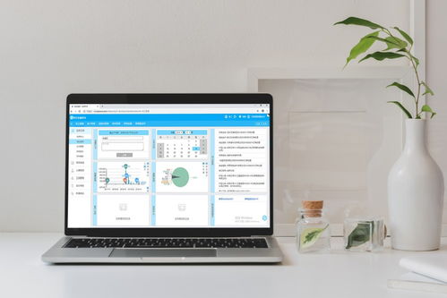 四川成都軟件開發(fā)公司概覽與行業(yè)動(dòng)態(tài)
