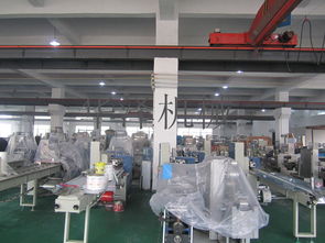 中小企業(yè)福音 溫州產(chǎn)多功能食品包裝機(jī)與軟件開發(fā)服務(wù)，一站式高性價(jià)比解決方案